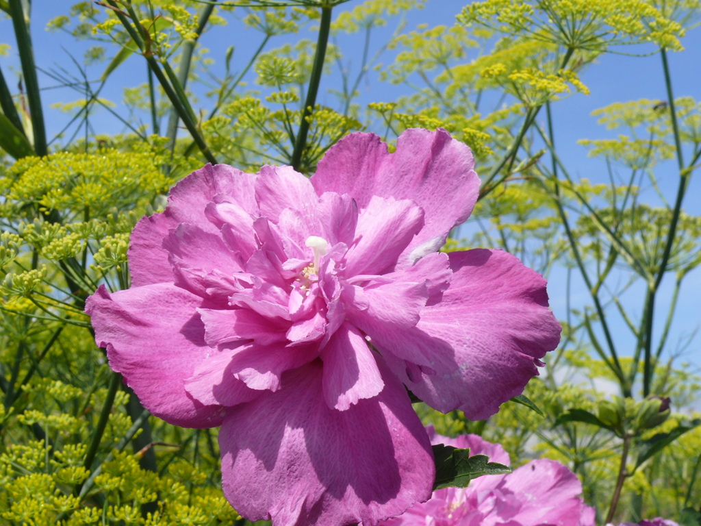 P1070675