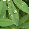 P1130133