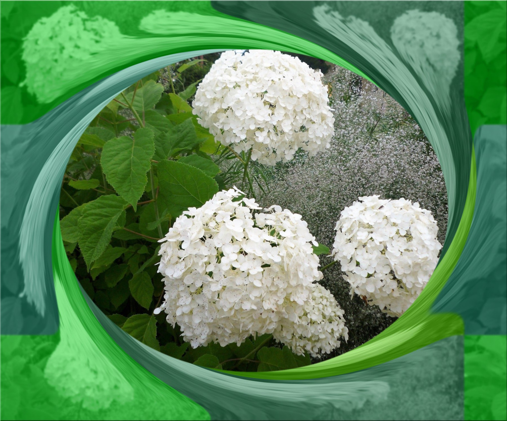 tuxpi.com.1595337087