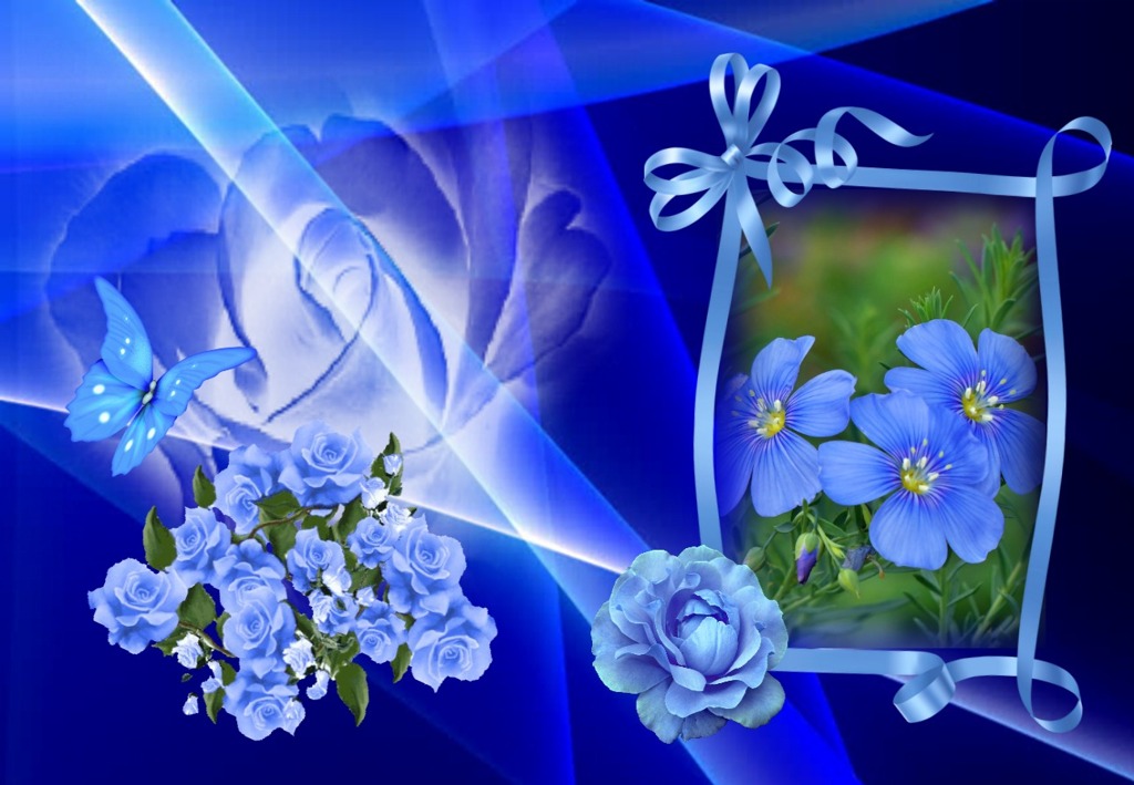 viptalisman_156049 (3)