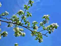 P1010879.JPG   b.JPG  b