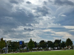 P1010431