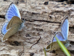 P1020570