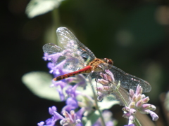 P1010566