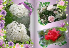 my_photo_floral-2 (1)