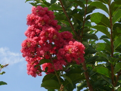 P1070681