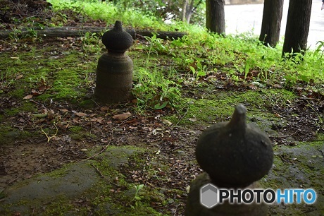 涼しげな木陰　緑と石と苔