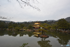 京都、金閣寺