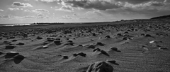 砂地の石原
