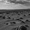 砂地の石原