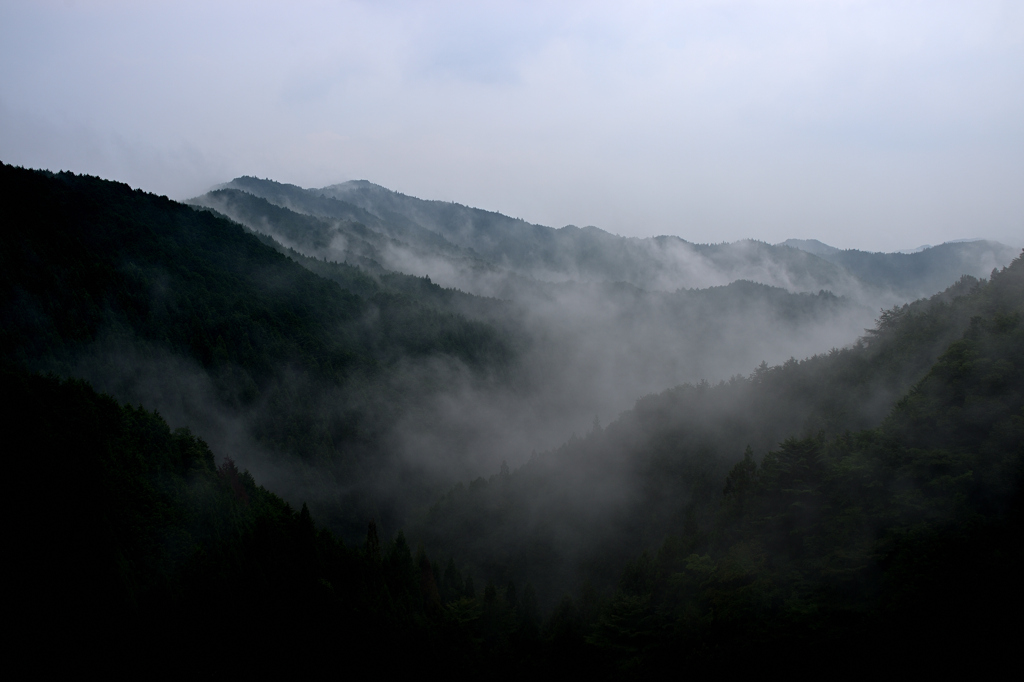 DSC_3983r