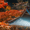 瓦屋根と紅葉