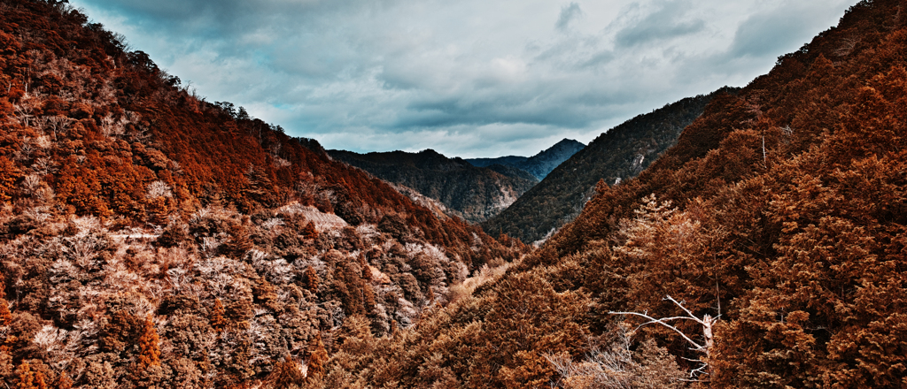 山景