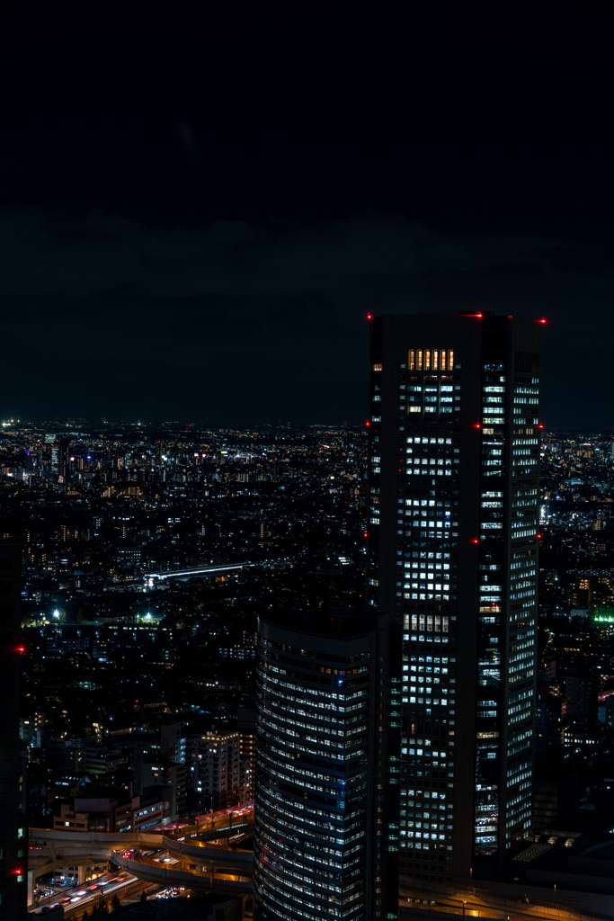 新宿の夜景