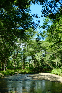 逆さ川