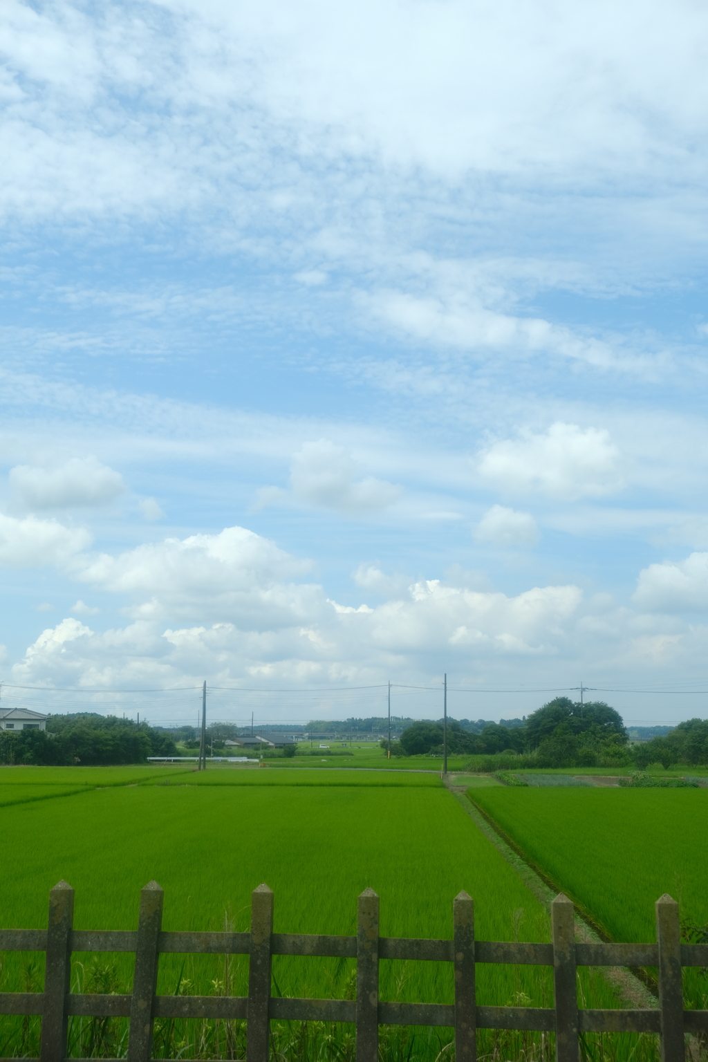 夏の始まり