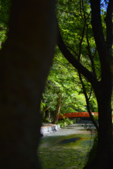 小國神社