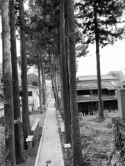 神社参道Ａ