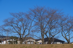 冬支度