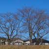冬支度