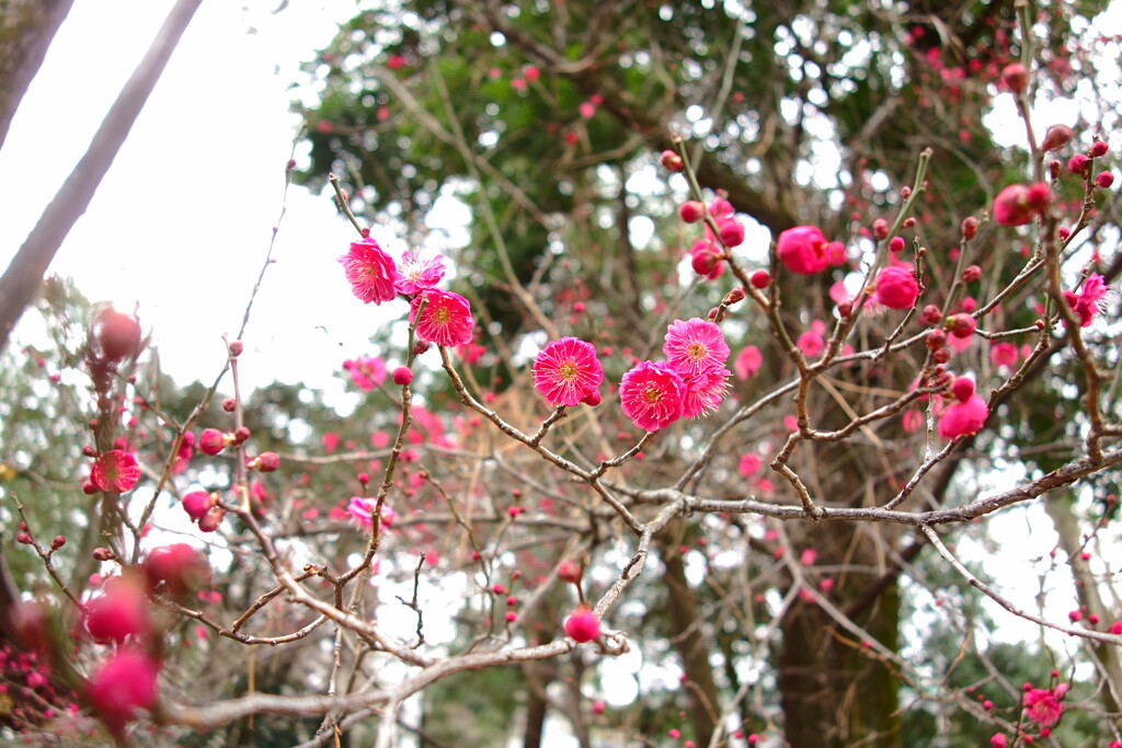 DSC00029
