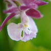 A7C02958