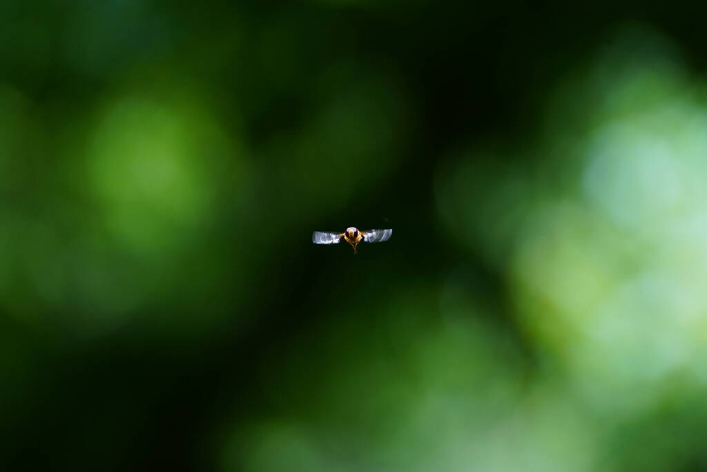 A7C03485