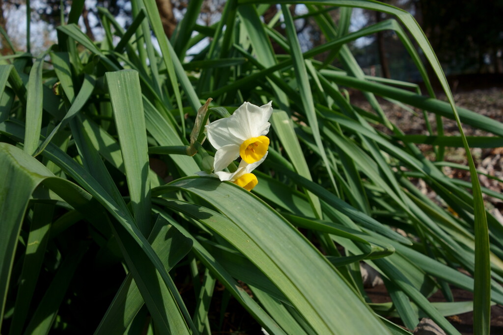 DSC00410