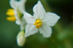 A7C05428