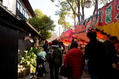 DSC02705