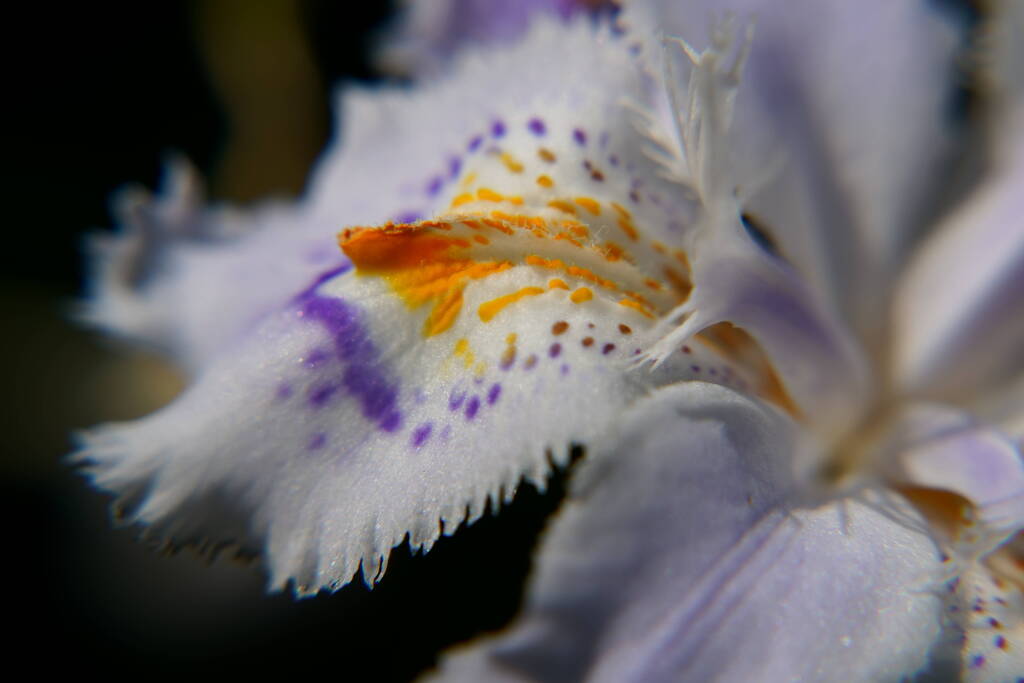 A7C03107