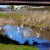 DSC05890