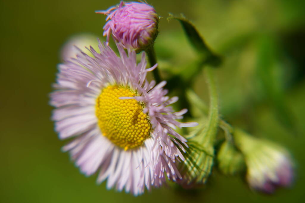 A7C03067