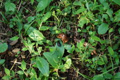 DSC00069