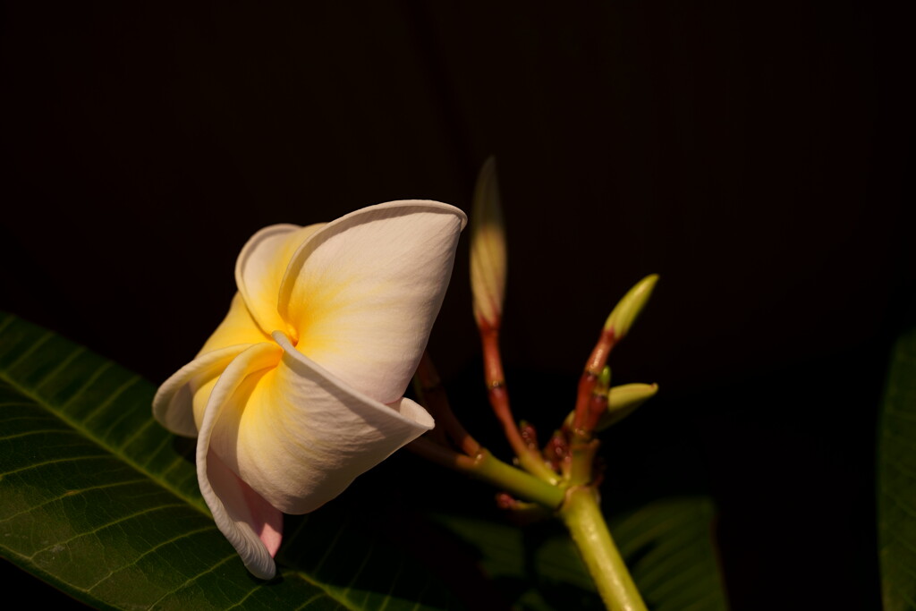 DSC05050