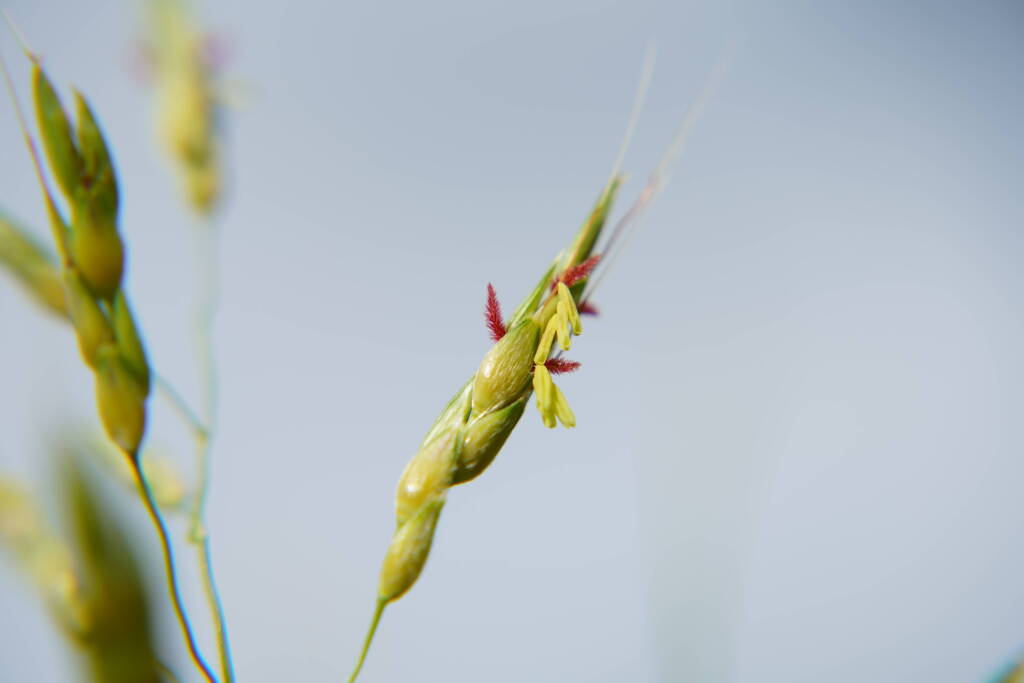 A7C05422
