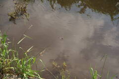 DSC00043