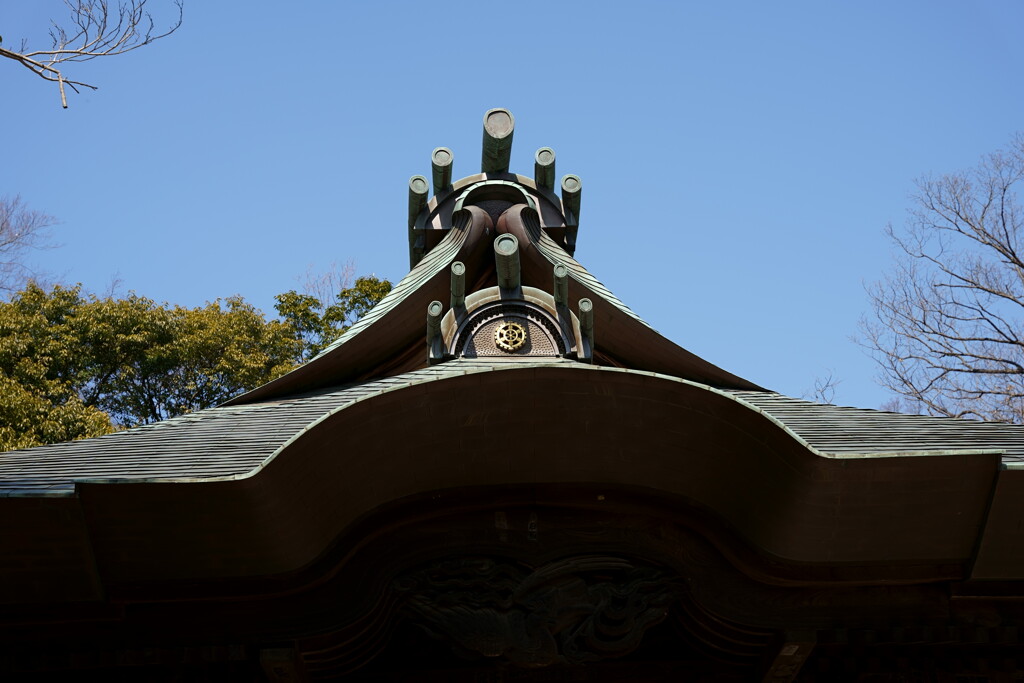 DSC02726