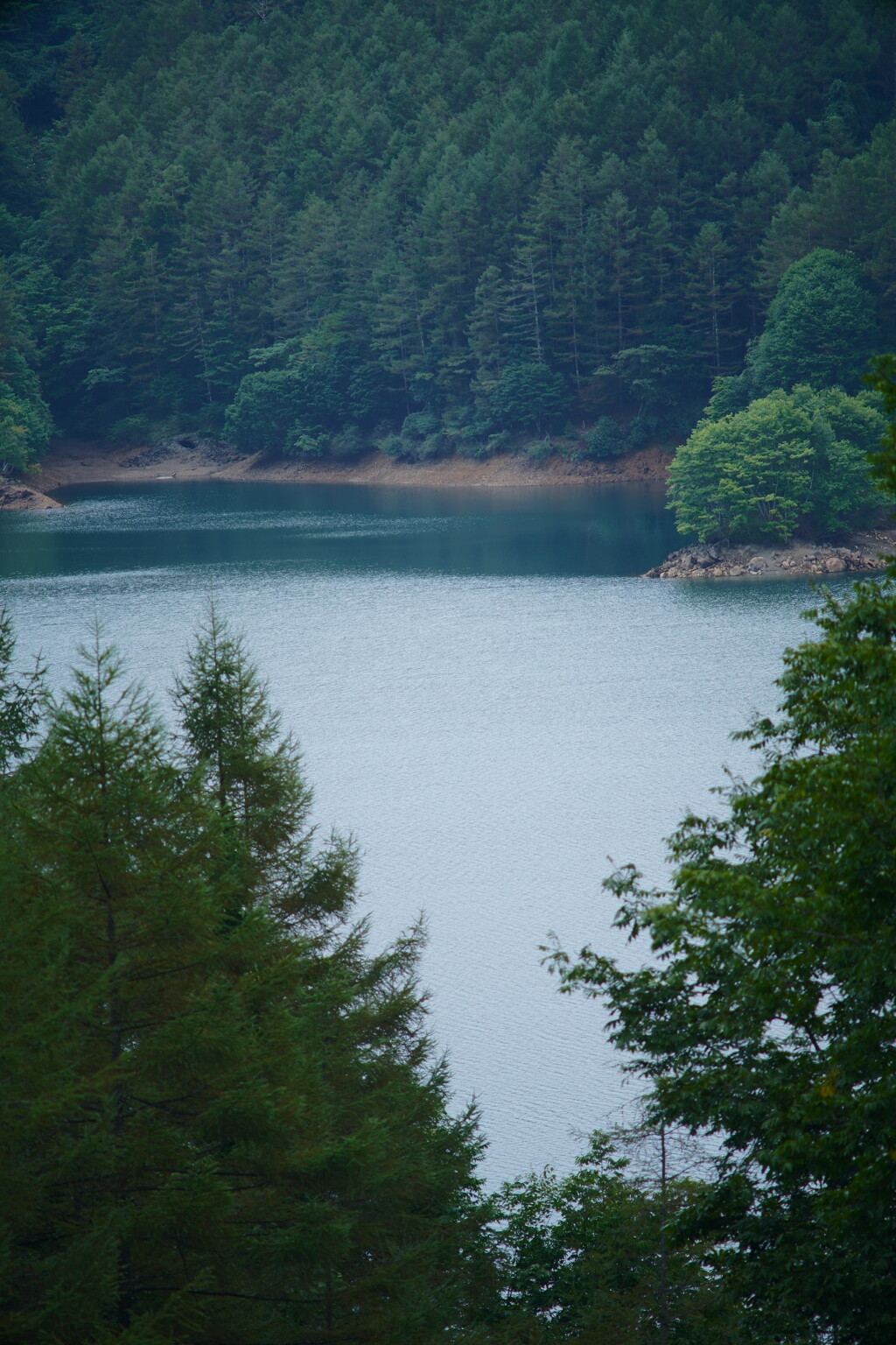 A7C09879