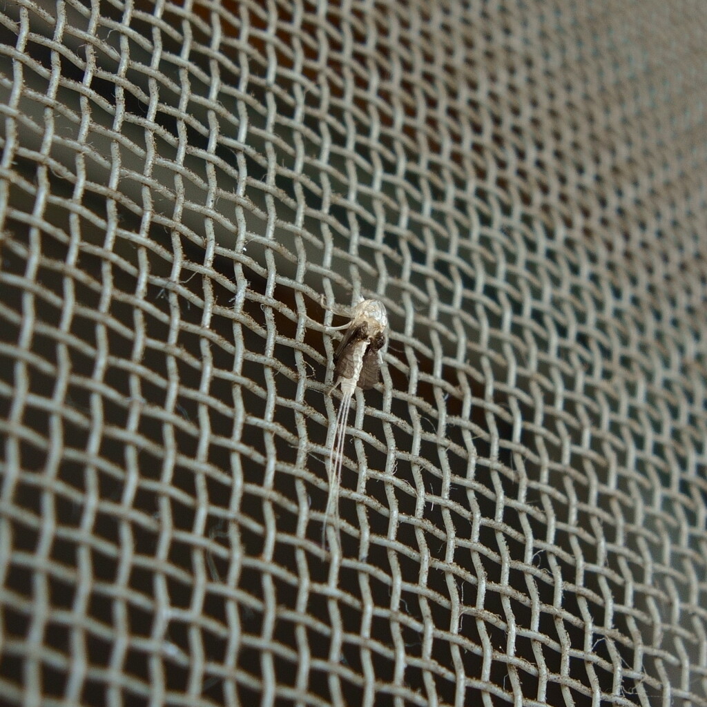 DSC01471