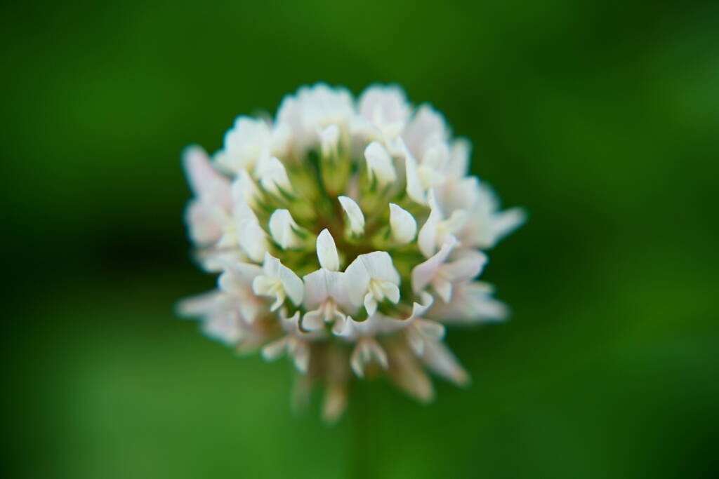 A7C05443