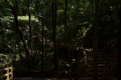 DSC06073