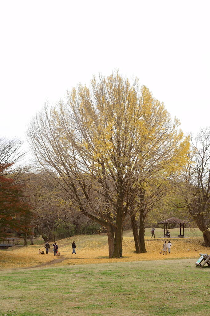 DSC06580