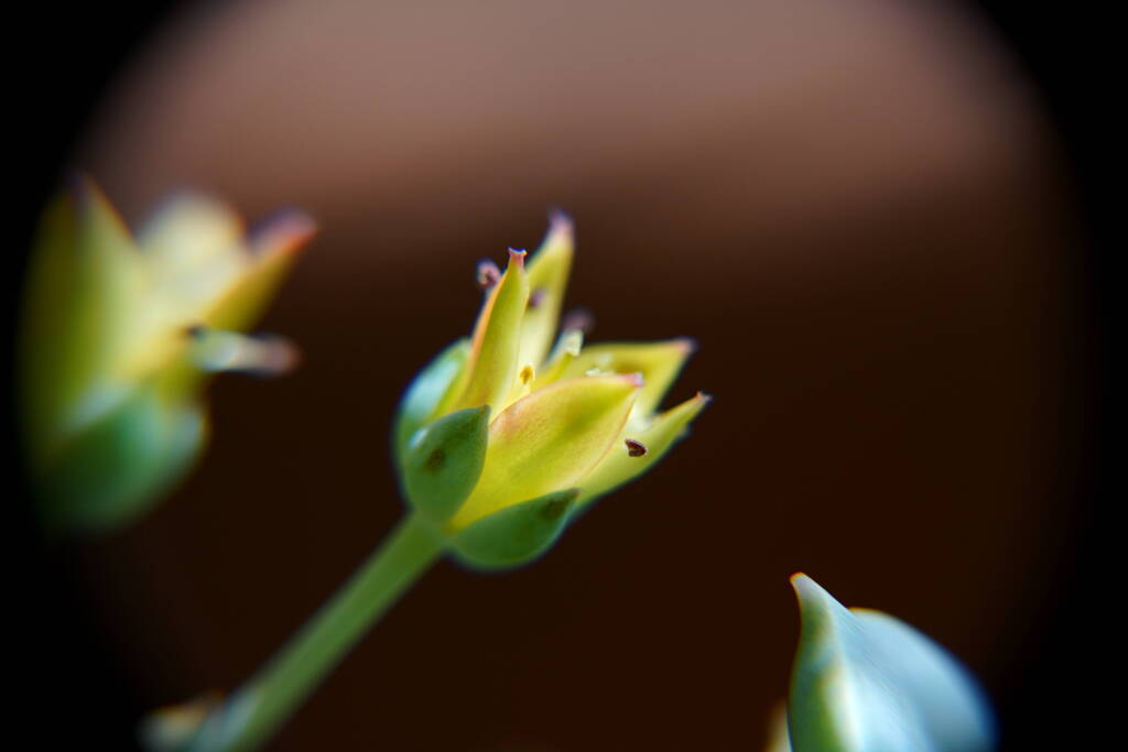 A7C03860
