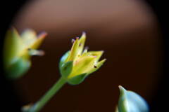 A7C03860