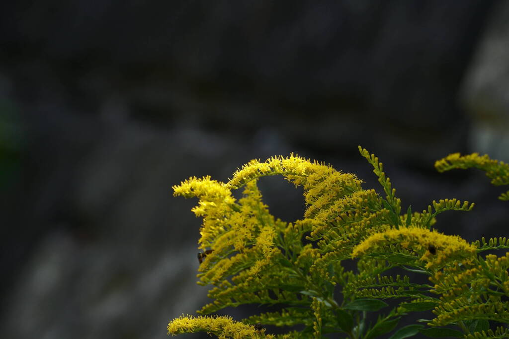 A7C05711