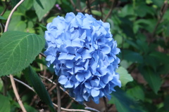 0AE542F5-2285-49BA-9D96-2912043AFA6F