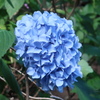 0AE542F5-2285-49BA-9D96-2912043AFA6F