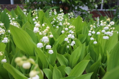 27F86CCD-44B1-4B60-809A-3D5DD2889030