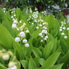 27F86CCD-44B1-4B60-809A-3D5DD2889030